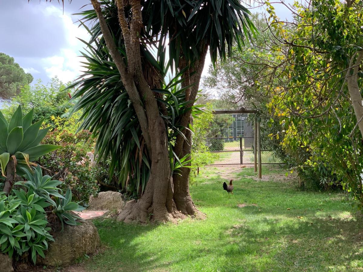 ホテル Finca Filpi チクラナ・デ・ラ・フロンテーラ エクステリア 写真