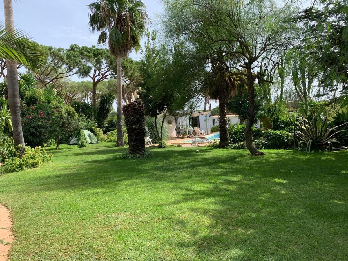 ホテル Finca Filpi チクラナ・デ・ラ・フロンテーラ エクステリア 写真