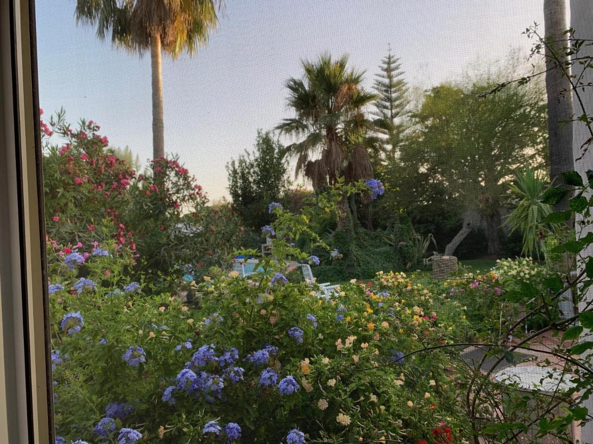 ホテル Finca Filpi チクラナ・デ・ラ・フロンテーラ エクステリア 写真
