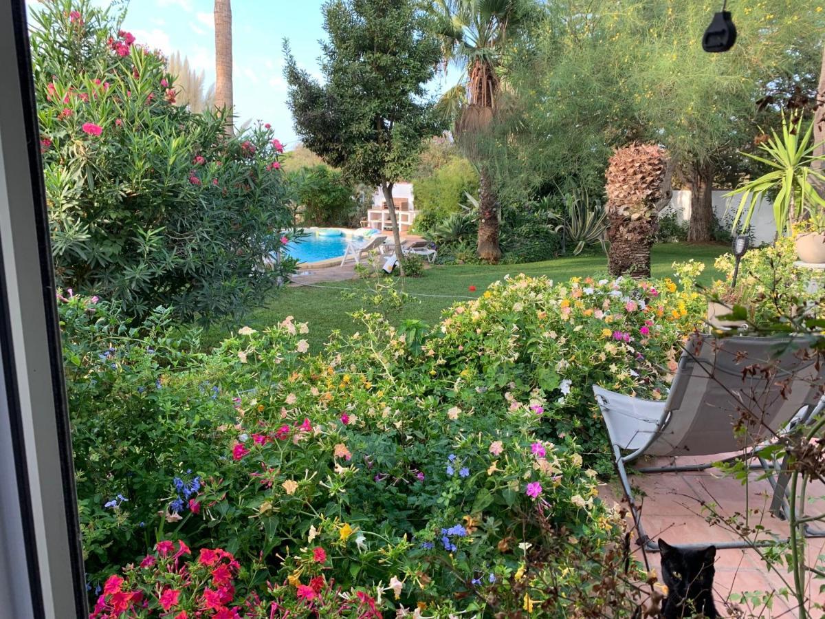 ホテル Finca Filpi チクラナ・デ・ラ・フロンテーラ エクステリア 写真