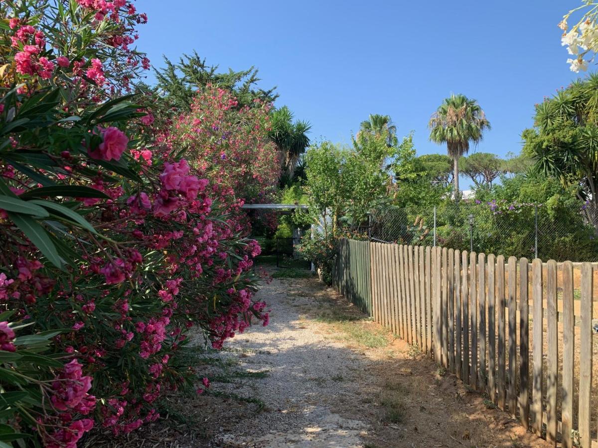 ホテル Finca Filpi チクラナ・デ・ラ・フロンテーラ エクステリア 写真
