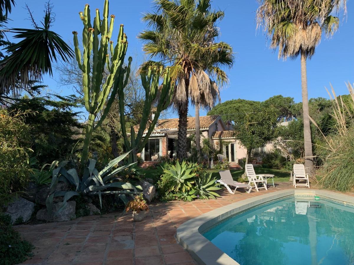 ホテル Finca Filpi チクラナ・デ・ラ・フロンテーラ エクステリア 写真