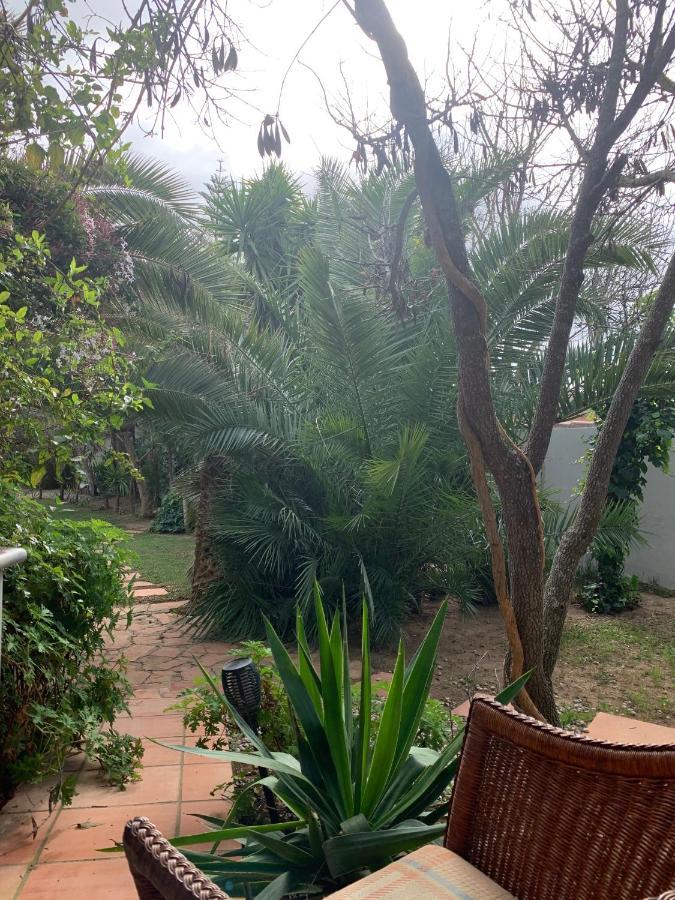 ホテル Finca Filpi チクラナ・デ・ラ・フロンテーラ エクステリア 写真